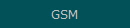 GSM